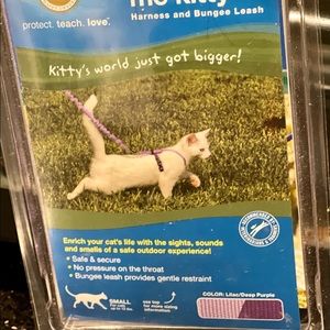 Come with me Kitty harness and bungee leash